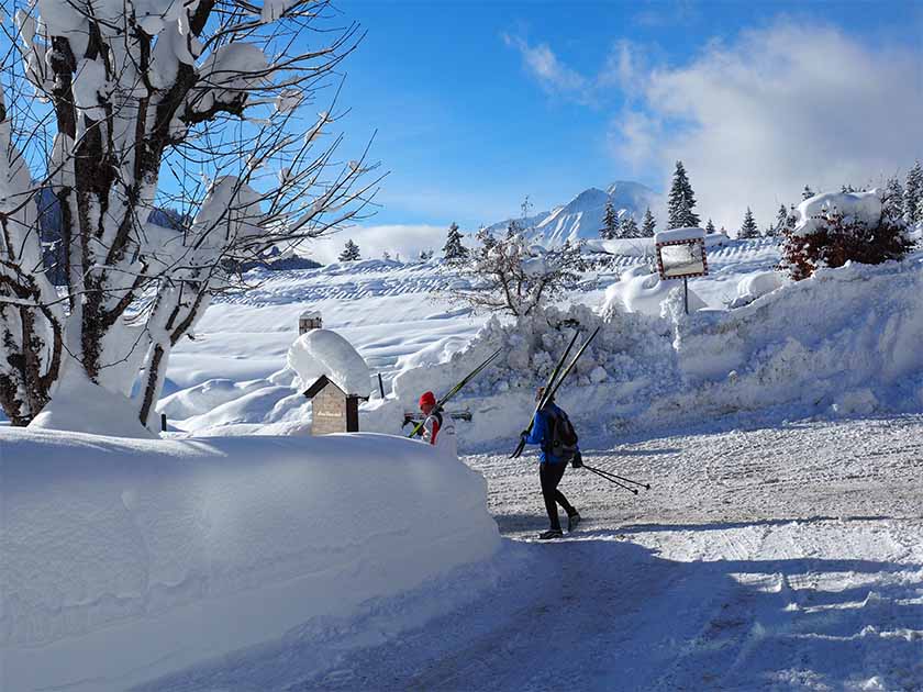 cross country seefeld tirol winter